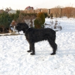 pokus o postoj Ange
