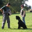 obrany Mlad� Boleslav 2008