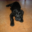 Athos t�i m�s�ce