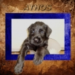 Athos