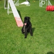 ps� �kola Ambra 2007