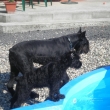 Ag�tka se svoj� novou kamar�dkou a ochr�nkyn�