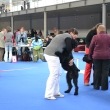 Duo v�stava druh� den Brno v�t�z V1 CAC