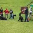 krajsk vstava Bentky nad Jizerou 8.6 2008 V1,VT,VK