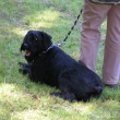 z�vody v Ml�kojedech druh� m�sto 19.5 2007