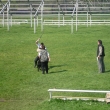 klubov� v�stava a bonitace Rebe�ky 27.4 2008 V2