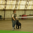 klubov� v�stava a bonitace Rebe�ky 27.4 2008 V2