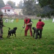 ps� �kola Ambra 2007