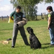 obrany Mlad� Boleslav 2008