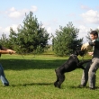 obrany Mlad� Boleslav 2008