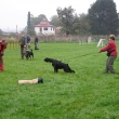 ps� �kola Ambra 2007
