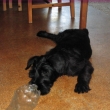 Athos t�i m�s�ce