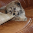 tak a te� uk�u jak jsem �iv� �t�n�