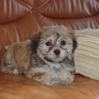 prvn� chvilky doma m�m omyt� o���ka