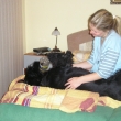 moje hol�i�ky 2007