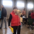 prvn� v�stava Litom��ice