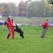 ps� �kola Ambra 2007