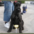 maminka  Rebe�ky Ozi Zdestru + 9.10.2011 ve v�ku dev�ti let
