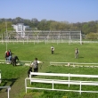 klubov� v�stava a bonitace Rebe�ky 27.4 2008 V2