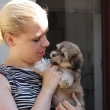 lou�en� s chovatelkou