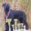 v�echny poh�ry za rok 2011-2012