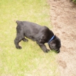 Athos na stop�
