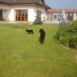 Ange s mamkou na prochajd�